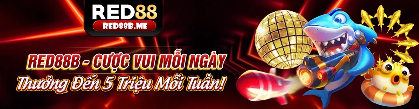 Hoàn trả tiền cược hàng ngày tại Sin88